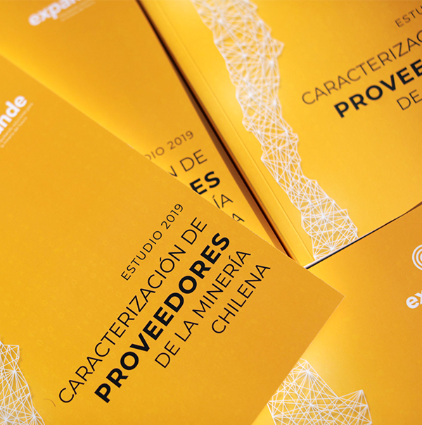 Estudio de proveedores de la minería