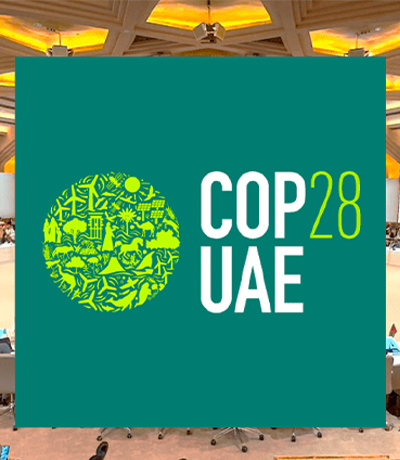 Cop28 2024