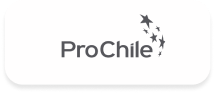 logo prochile