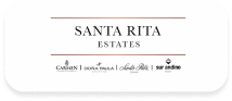 Consultora de innovación y gestión del cambio - logo santa rita estates