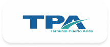 consultora de innovación y gestión del cambio - logo terminal puerto arica