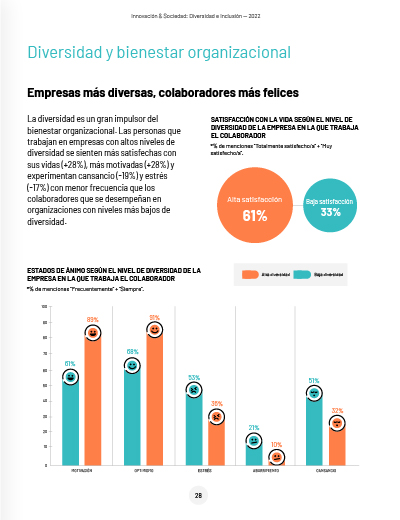 Página Interna Informe Diversidad e Inclusión