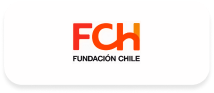 Fundación Chile
