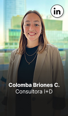 Colomba Briones. Consultora I+D Brinca
