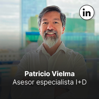 Patricio Vielma Asesor Especialista I+D